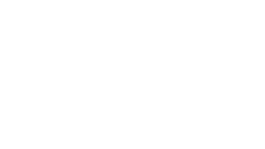 BendixKing