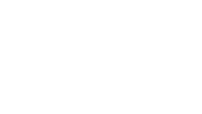 Dynon